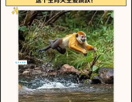 斗酒百篇打一最佳生肖是什么？揭秘谜底背后的故事！