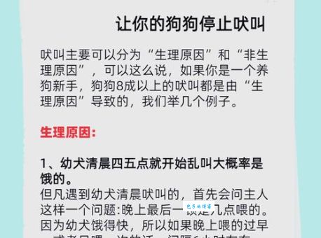 狗吠之惊是什么生肖？你知道真正答案吗？