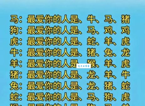 忠贞不渝打一最佳生肖？这个生肖最懂爱与忠诚！