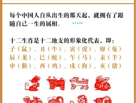 生龙活虎最准确的生肖是哪个?专家这样解读!