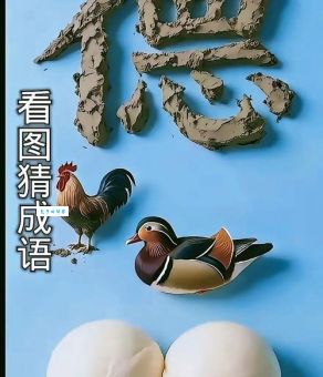 鸡犬升天打一个正确生肖，聪明人看一眼就猜到了！