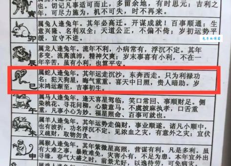 尺之木必有节目打一正确生肖是啥？这个生肖最靠谱！