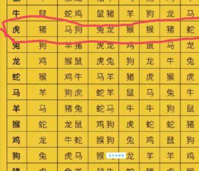尺之木必有节目打一正确生肖是啥？这个生肖最靠谱！