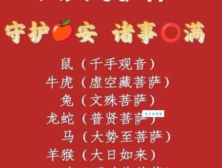 黑灯瞎火打一最佳生肖的答案,让你大跌眼镜!