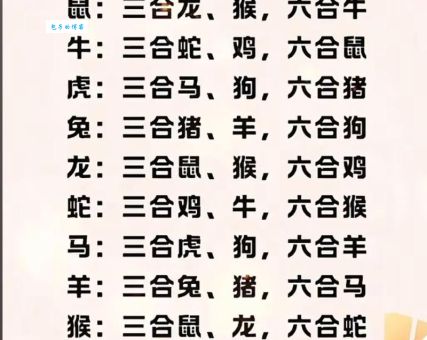 三前四后五有意指什么生肖？一起来揭秘答案！