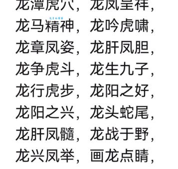 生龙活虎打一个生肖是什么?快来这里找到答案!