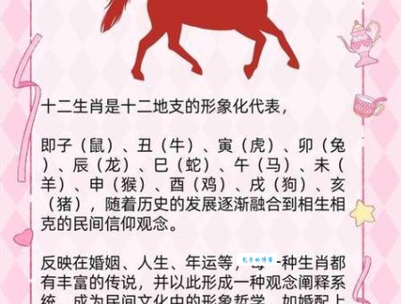 光彩照人是什么生肖？揭晓这个生肖的魅力！