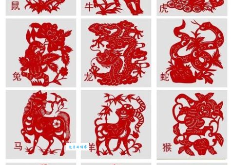 身不由己打一正确生肖,到底哪个生肖最符合?