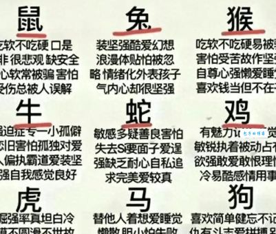 风光无限到底指哪个生肖？快速揭晓谜底！