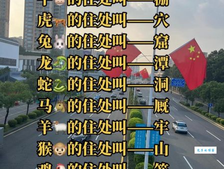 火中取栗打一正确生肖答案揭秘!原来是这个动物!