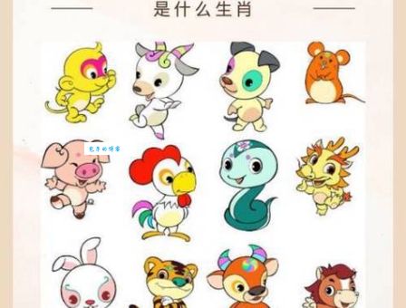 一分钟告诉你身不由己是什么生肖，超简单！