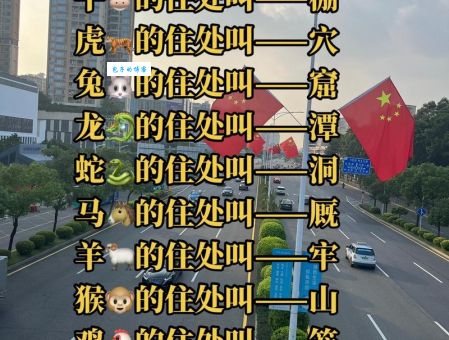 水天一色打一准确生肖？答案让你大吃一惊！