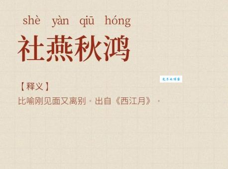 社燕秋鸿打一最佳生肖的答案是什么？看完你就懂了！