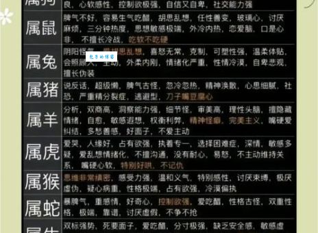 钻牛角尖代表什么生肖？深度剖析生肖特点！