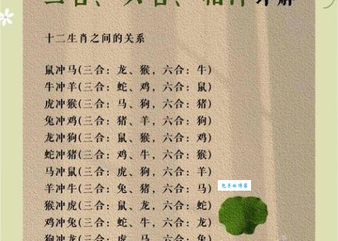 揭秘三前四后五有意打一最佳生肖的正确答案！