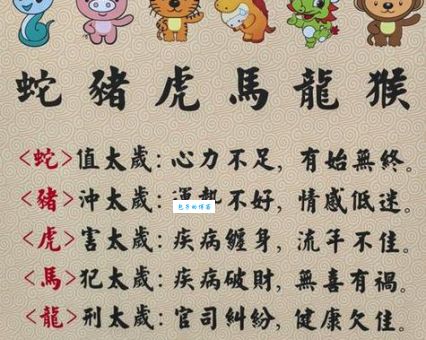 揭晓一无所有是什么生肖动物！多数人猜不对！