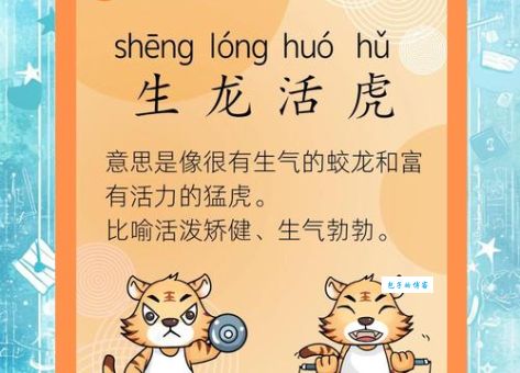 生龙活虎是什么生肖？这几个特征很明显！