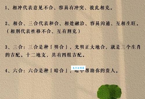 生龙活虎打一准确生肖是什么?正确答案立即揭晓!
