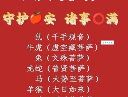 执两用中指什么生肖？答案让你大吃一惊！