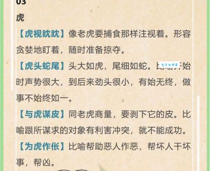 一毛不拔打一准确生肖的谜底,看完你就懂了!
