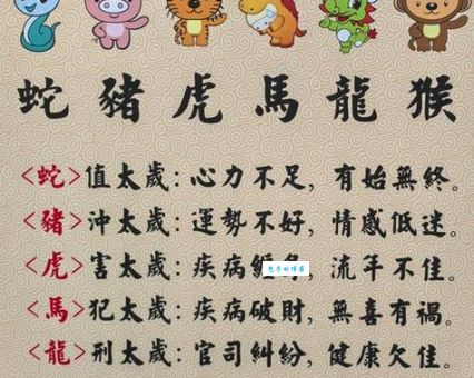 一毛不拔打一准确生肖的谜底，看完你就懂了！