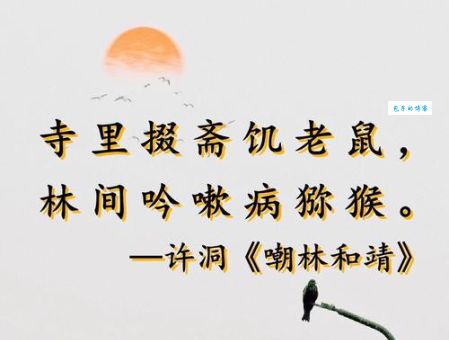 半路出家的生肖到底指啥？别再误解这个词了！