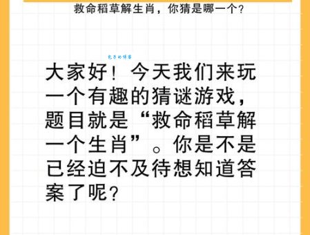 勤学苦练打一最佳生肖？这个谜题的答案让你想不到！