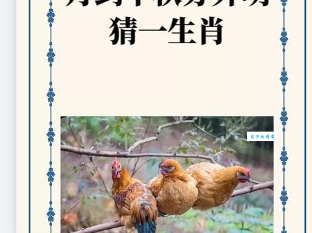 勤学苦练打一最佳生肖？这个谜题的答案让你想不到！