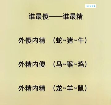 尺树寸泓打一准确生肖？答案让你大吃一惊！