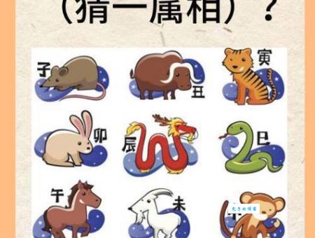 揭秘！一将功成万骨枯打一正确生肖，原来是这一个！