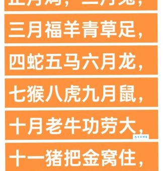 铢积寸累形容的生肖是啥？猜猜看是哪个它！