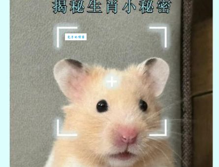 快来猜！温度计打一准确生肖到底是什么