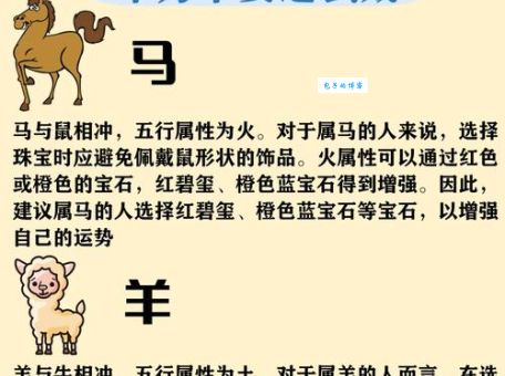 揭秘星辰北半粒粒送什么生肖，看完你就懂了。