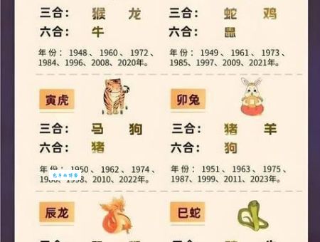 三五成群打一准确生肖解析：快速揭晓正确答案！