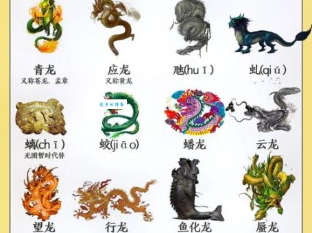 仰事俯畜打一生肖的寓意？了解传统文化背后的深意！