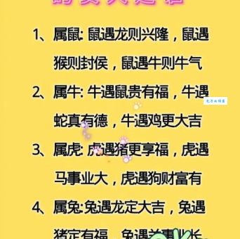 冷波出勤一起追指一个准确生肖，答案究竟是什么？