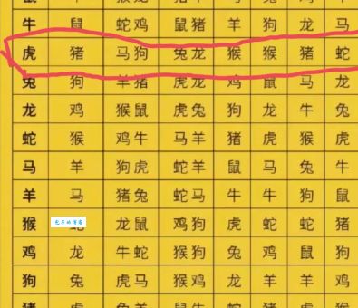 想知道力大无穷打一正确生肖吗？看完你就知道了！