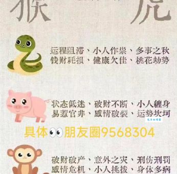 提六吼九大功成打一准确生肖，背后到底有啥含义？