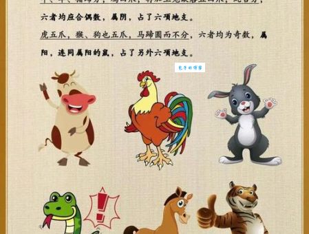 千真万确是什么生肖？原来答案在这里！