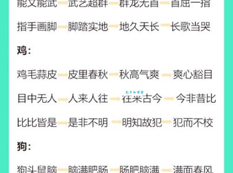快马加鞭是什么生肖?了解典故轻松记住答案!