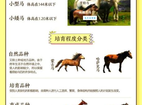 快马加鞭是什么生肖？了解典故轻松记住答案！