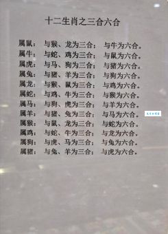 想知道门前车马任东西是什么生肖？看完秒懂生肖谜语！