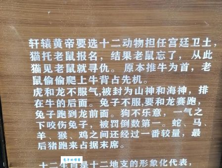 独坐愁城说的是哪个生肖?快来了解它的秘密!