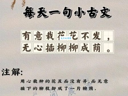 寻花问柳打一生肖到底指什么？深度解读！