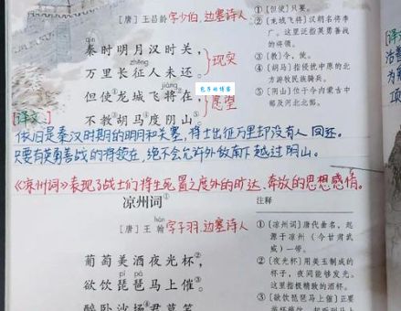 寻花问柳打一生肖到底指什么？深度解读！