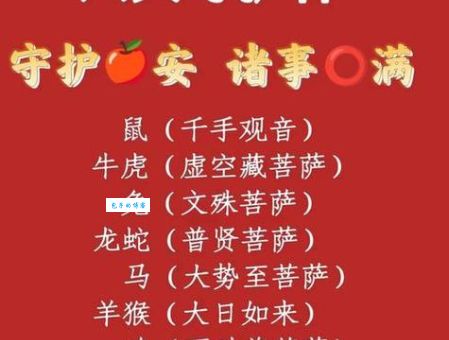 想知道高朋满座打一准确生肖？这里有最全解释！