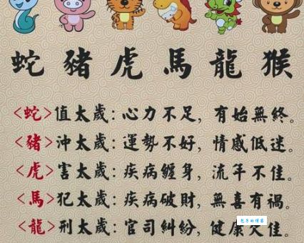 平心静气打一最佳生肖怎么猜？高手教你简单分辨！