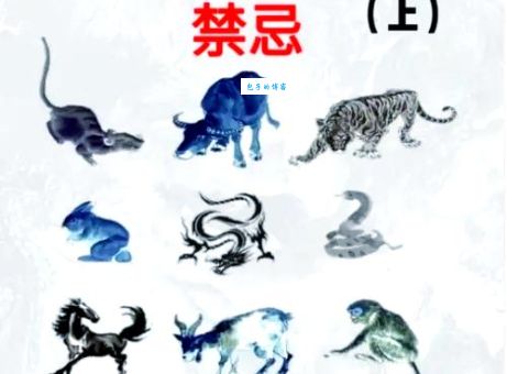 揭秘横金拖玉是什么生肖？看完你就全明白了！