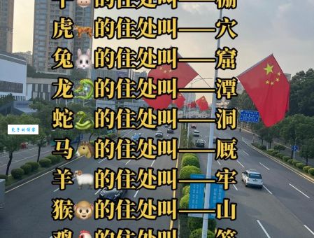 接二连三打一准确生肖怎么猜？教你技巧！