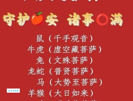 五颜六色打一个生肖是什么？答案揭晓让你大吃一惊！